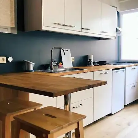 Entierement Renove Et Equipe De Deux Dans Le Quartier Schuman