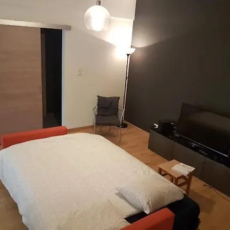 Apartment Entierement Renove Et Equipe De Deux Dans Le Quartier Schuman Brussels