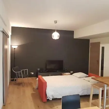 Entierement Renove Et Equipe De Deux Dans Le Quartier Schuman Apartment Brussels